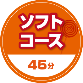 ソフトコース 45分